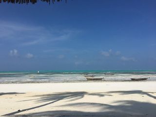 Strand von Jambiani mit Palmenschatten
